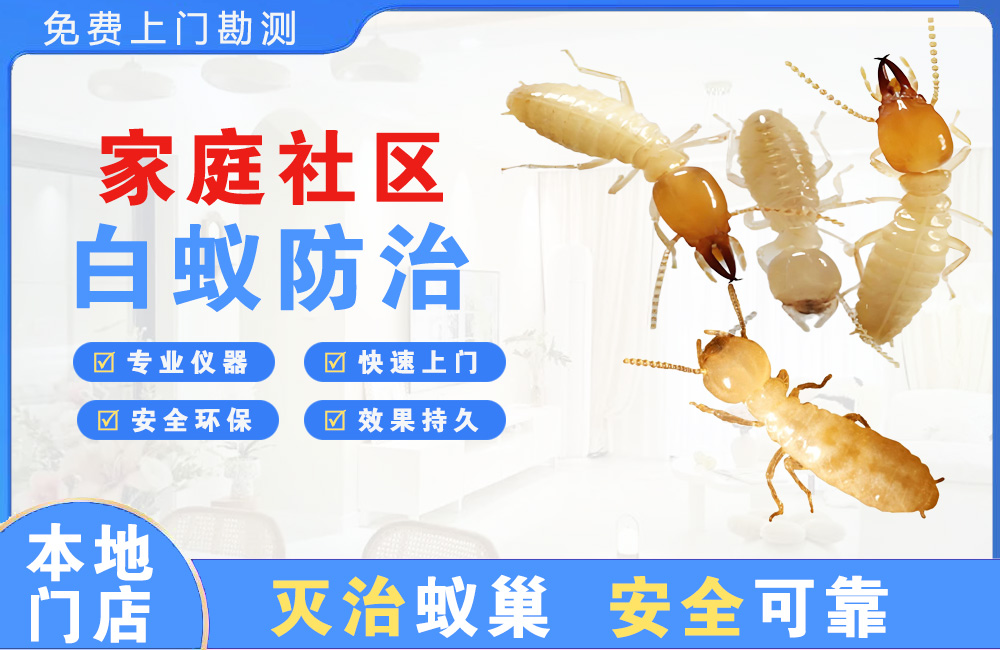 沙坪坝家庭社区白蚁防治