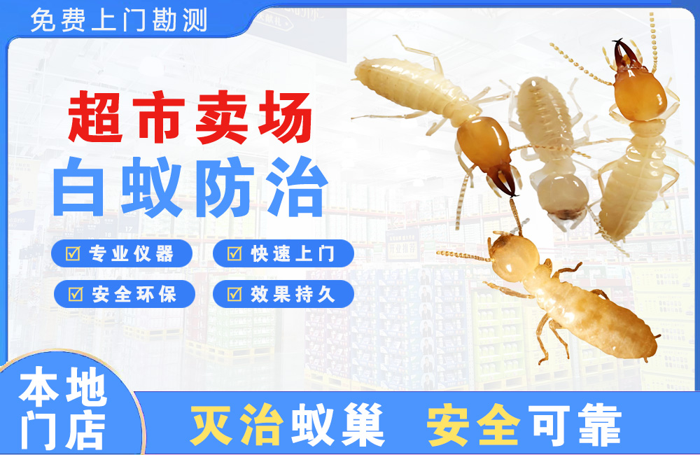 沙坪坝超市卖场白蚁防治