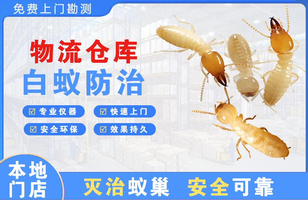 沙坪坝物流仓库白蚁防治