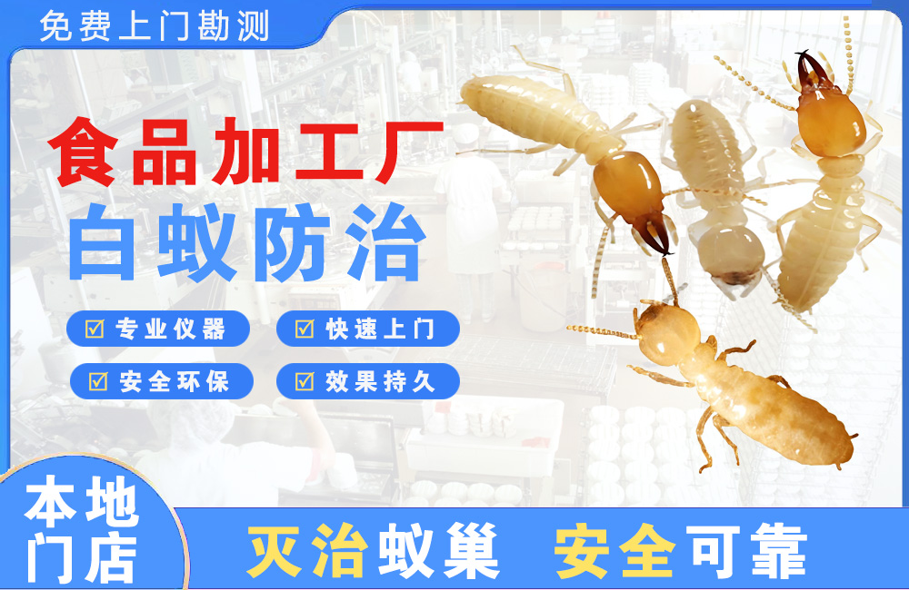 沙坪坝食品加工厂白蚁防治