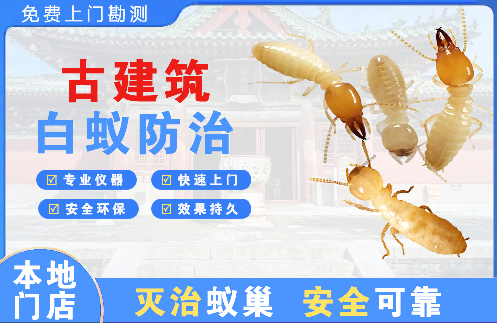 沙坪坝古建筑白蚁防治