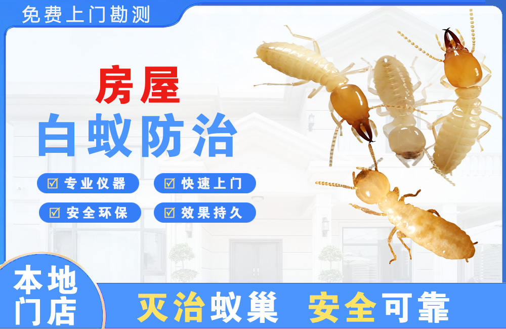 沙坪坝房屋白蚁防治