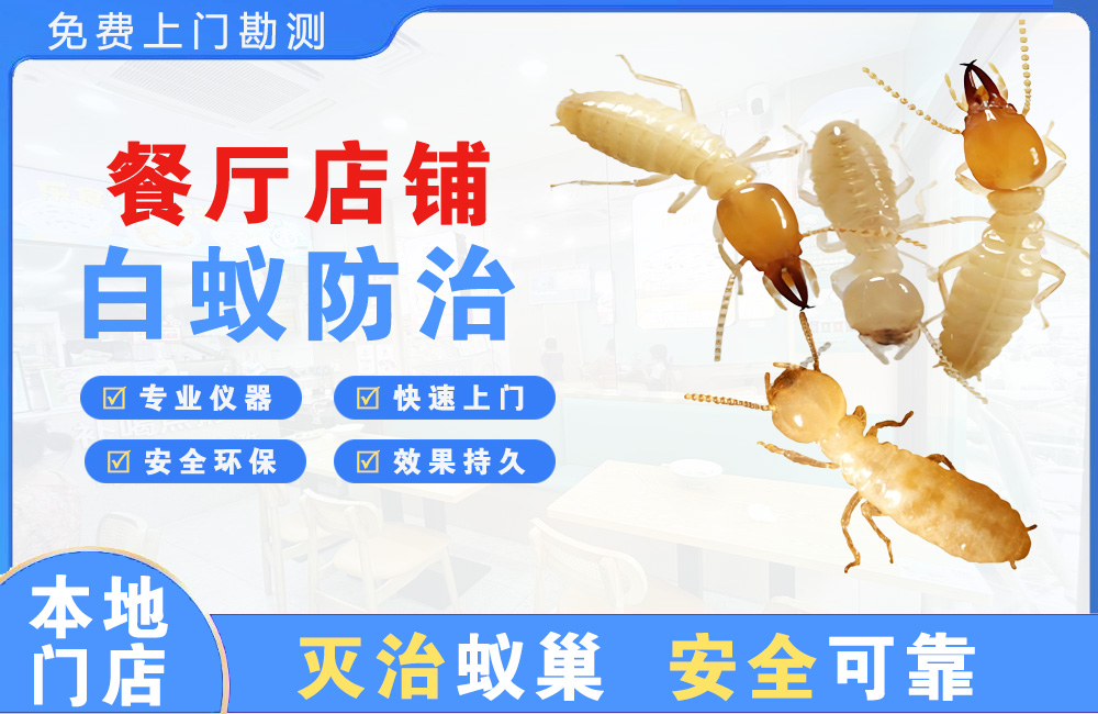 沙坪坝餐厅店铺白蚁防治